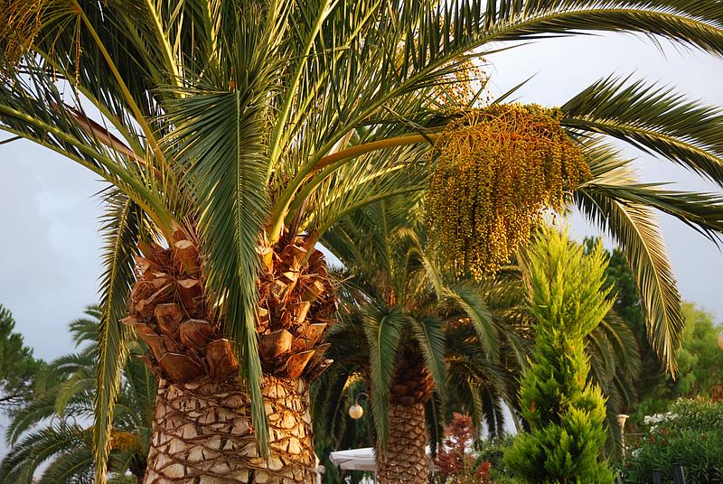 40-ventimiglia.jpg