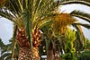 40-ventimiglia.jpg